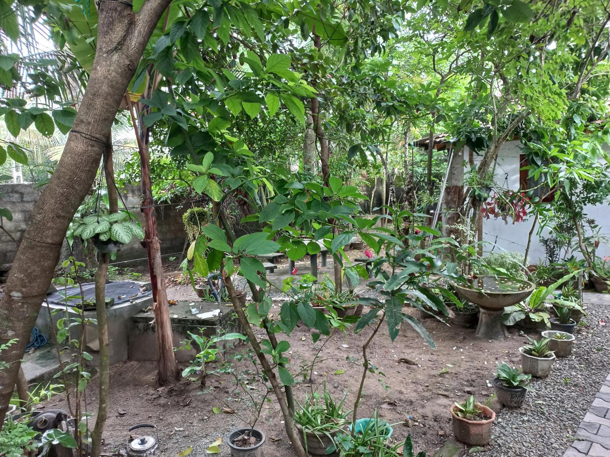Mango Villa 703 ฮิกคาดูวา ภายนอก รูปภาพ