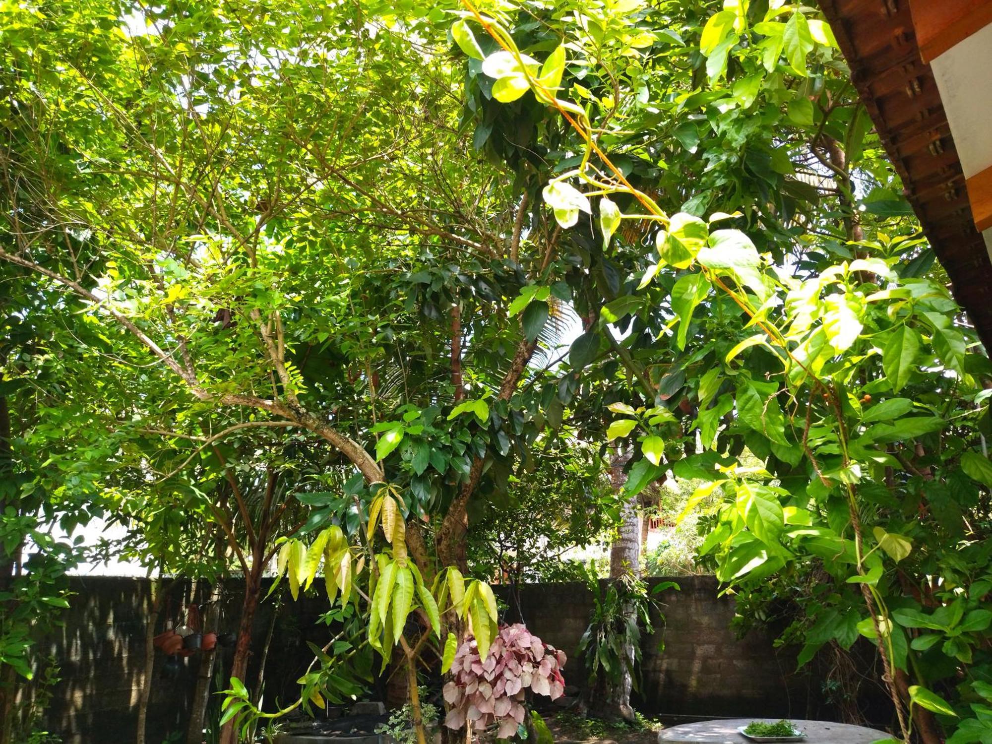 Mango Villa 703 ฮิกคาดูวา ห้อง รูปภาพ